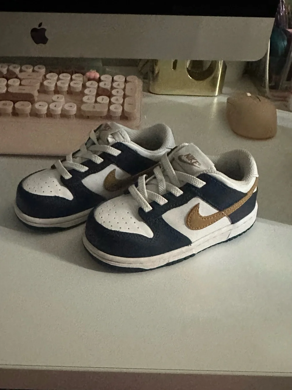 Nike Dunk Low Toddler Sneakers – Size 8C